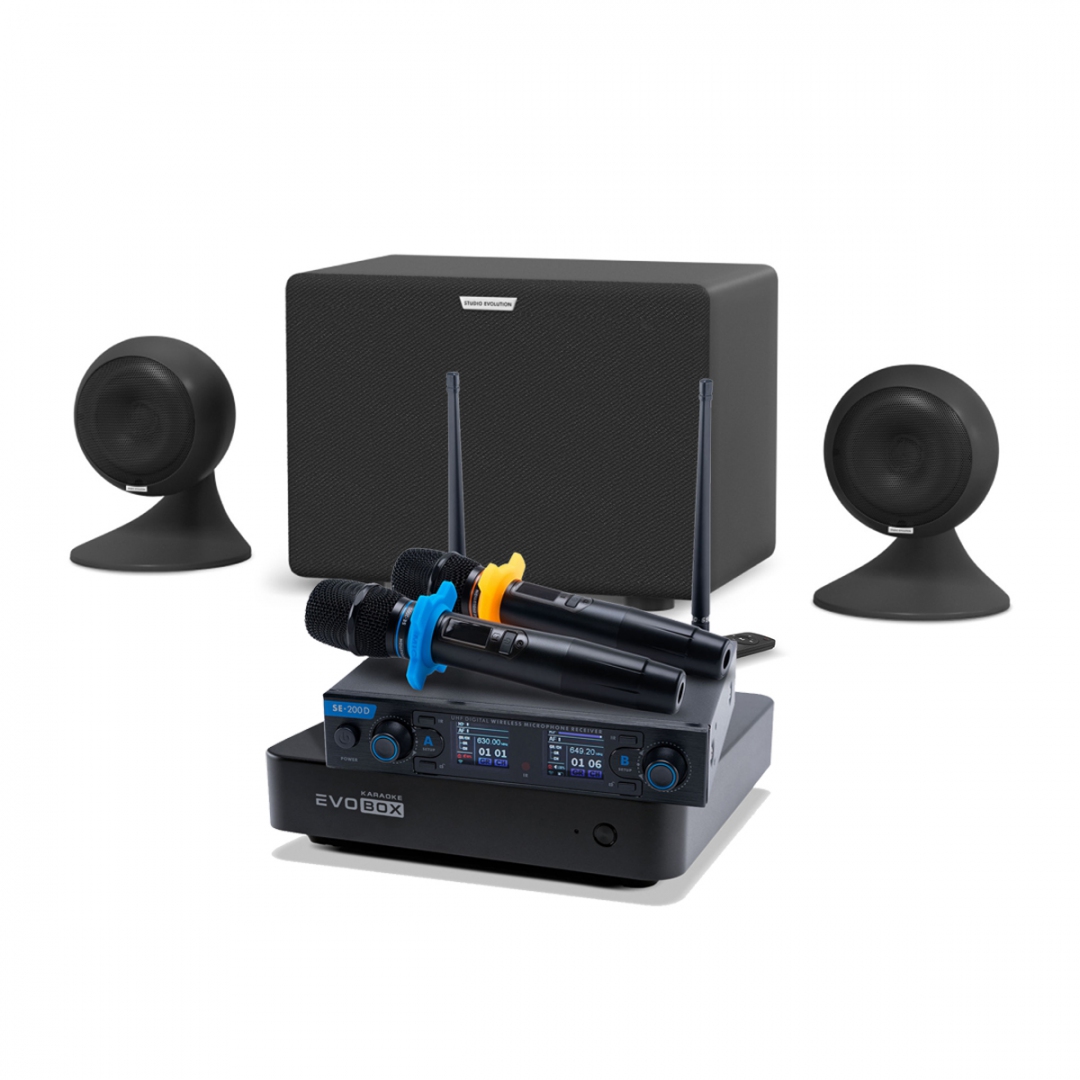 караоке-комплект EVOBOX + EvoSound Sphere 2.1 в Троицке