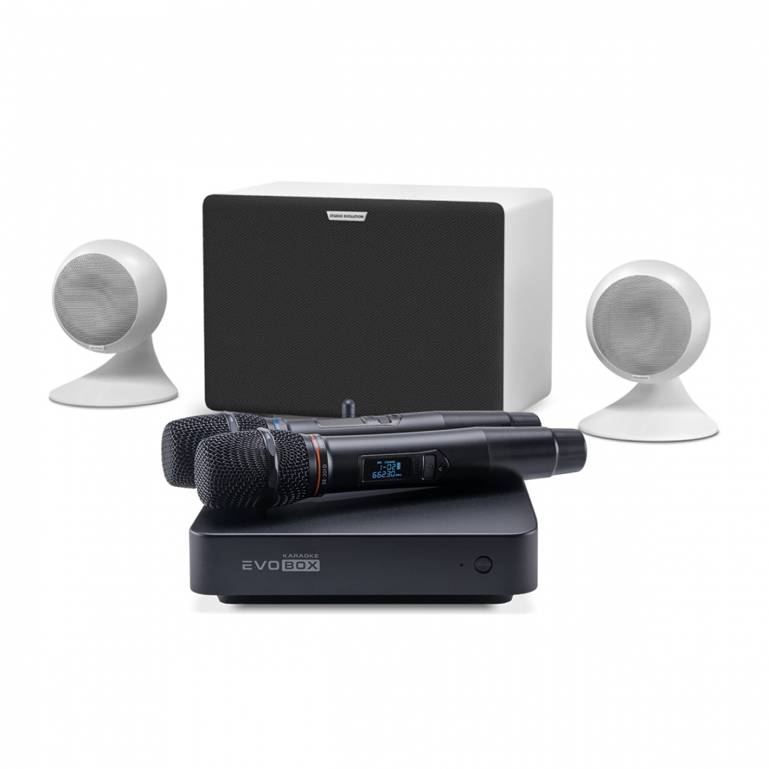 караоке-комплект EVOBOX Classic + EvoSound Sphere 2.1 в Троицке