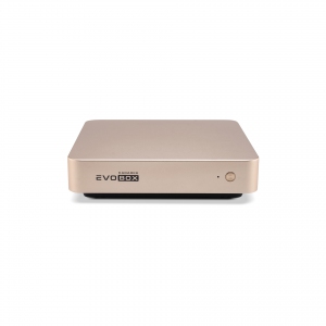 EVOBOX с микрофонами в Троицке
